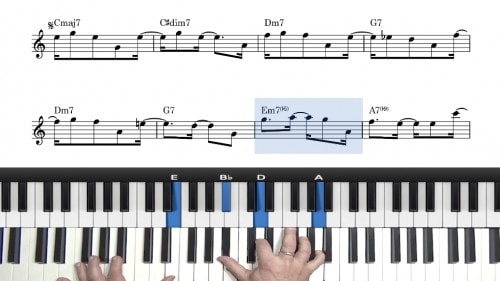 Lobo Bobo Tutorial
