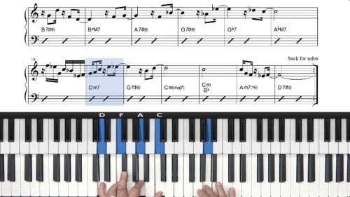 “Alegria na Mata” Tutorial